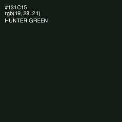 #131C15 - Hunter Green Color Image