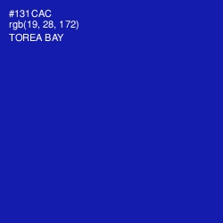 #131CAC - Torea Bay Color Image