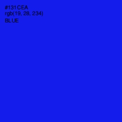 #131CEA - Blue Color Image