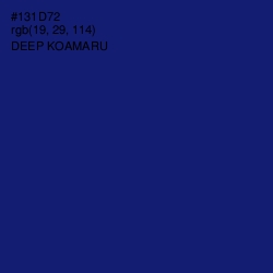 #131D72 - Deep Koamaru Color Image