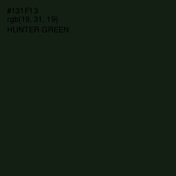 #131F13 - Hunter Green Color Image