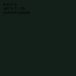 #131F19 - Hunter Green Color Image