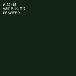 #132415 - Seaweed Color Image
