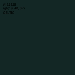 #132825 - Celtic Color Image