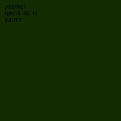 #132B01 - Deep Forest Green Color Image