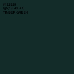 #132B29 - Timber Green Color Image