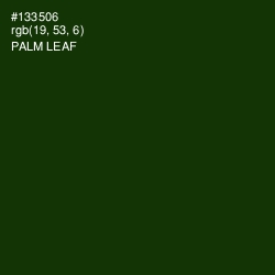 #133506 - Palm Leaf Color Image