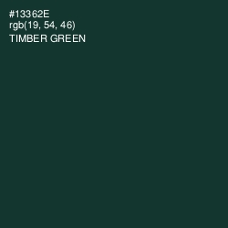 #13362E - Timber Green Color Image