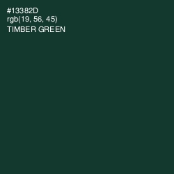 #13382D - Timber Green Color Image