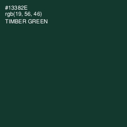 #13382E - Timber Green Color Image