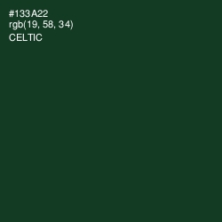 #133A22 - Celtic Color Image
