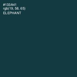 #133A41 - Elephant Color Image