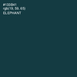 #133B41 - Elephant Color Image