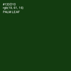 #133D10 - Palm Leaf Color Image