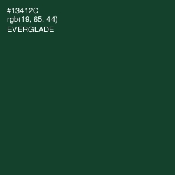 #13412C - Everglade Color Image