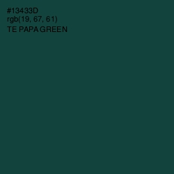 #13433D - Te Papa Green Color Image