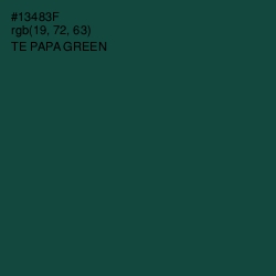 #13483F - Te Papa Green Color Image