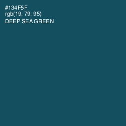 #134F5F - Deep Sea Green Color Image