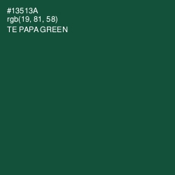 #13513A - Te Papa Green Color Image