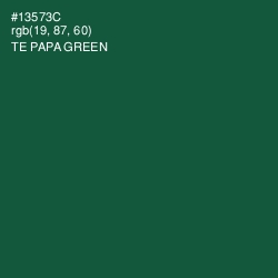 #13573C - Te Papa Green Color Image