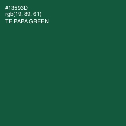 #13593D - Te Papa Green Color Image