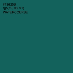 #13625B - Watercourse Color Image