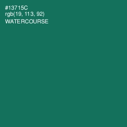 #13715C - Watercourse Color Image