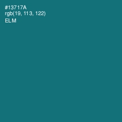 #13717A - Elm Color Image