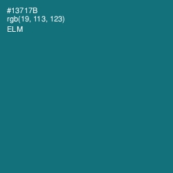 #13717B - Elm Color Image