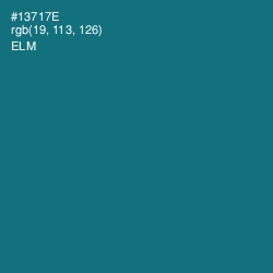 #13717E - Elm Color Image