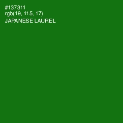 #137311 - Japanese Laurel Color Image