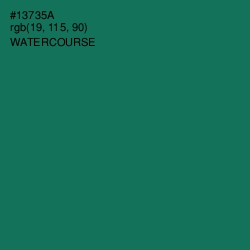 #13735A - Watercourse Color Image