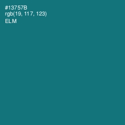 #13757B - Elm Color Image