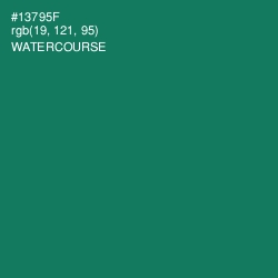 #13795F - Watercourse Color Image