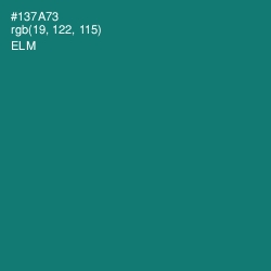 #137A73 - Elm Color Image