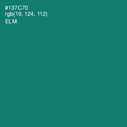 #137C70 - Elm Color Image