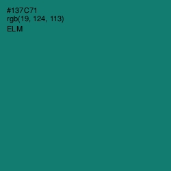 #137C71 - Elm Color Image