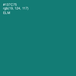 #137C75 - Elm Color Image