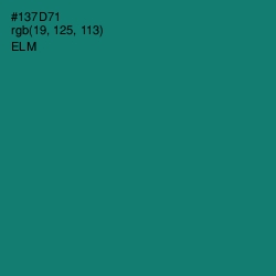 #137D71 - Elm Color Image