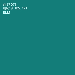 #137D79 - Elm Color Image