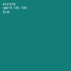 #137E78 - Elm Color Image