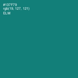 #137F79 - Elm Color Image