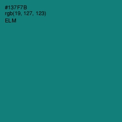 #137F7B - Elm Color Image