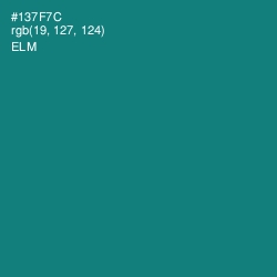 #137F7C - Elm Color Image