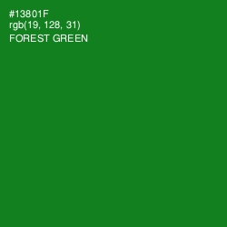 #13801F - Forest Green Color Image