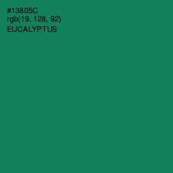 #13805C - Eucalyptus Color Image