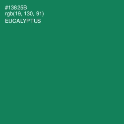 #13825B - Eucalyptus Color Image