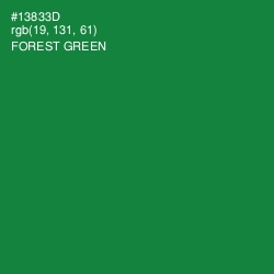 #13833D - Forest Green Color Image