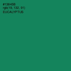 #13845B - Eucalyptus Color Image