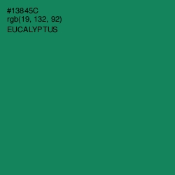 #13845C - Eucalyptus Color Image